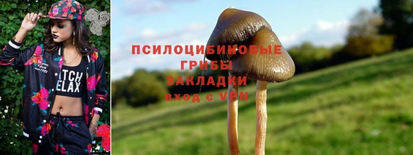 твердый Армянск