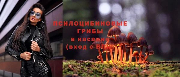 шишки Аркадак