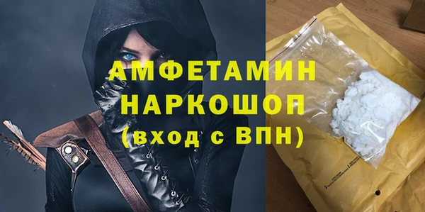 шишки Аркадак
