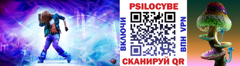 Псилоцибиновые грибы Cubensis  закладка  Зерноград 