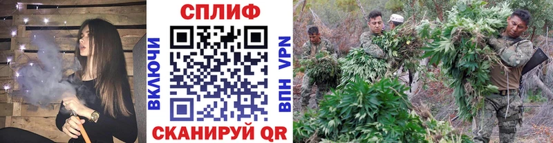 Конопля марихуана  Зерноград 